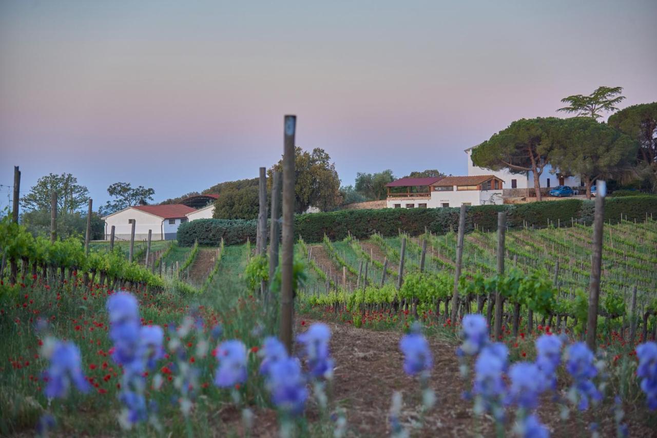 Agriturismo Tesorino Massa Marittima Dış mekan fotoğraf