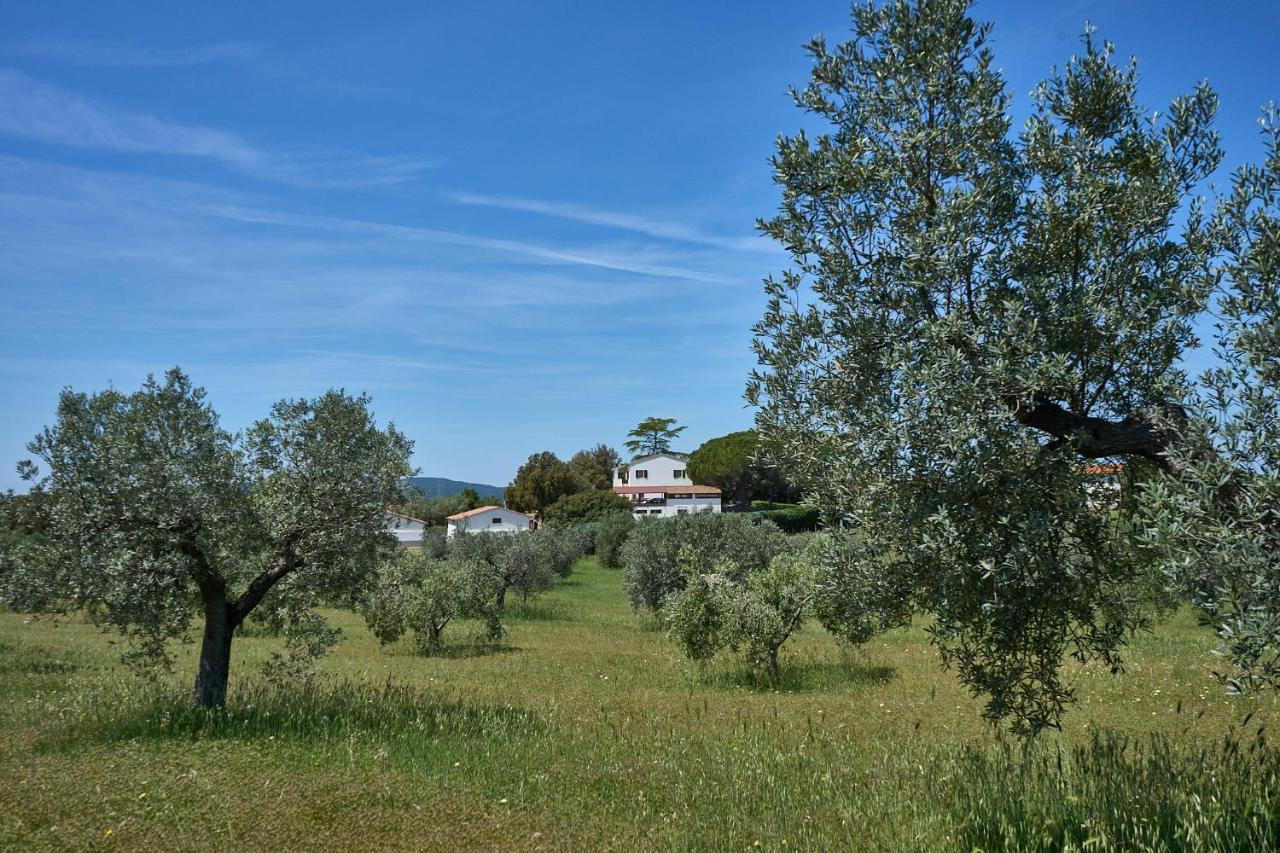 Agriturismo Tesorino Massa Marittima Dış mekan fotoğraf