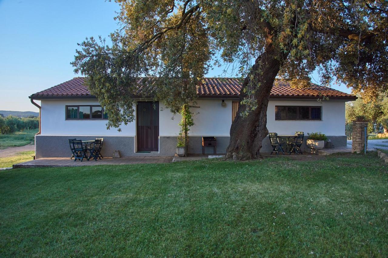 Agriturismo Tesorino Massa Marittima Dış mekan fotoğraf